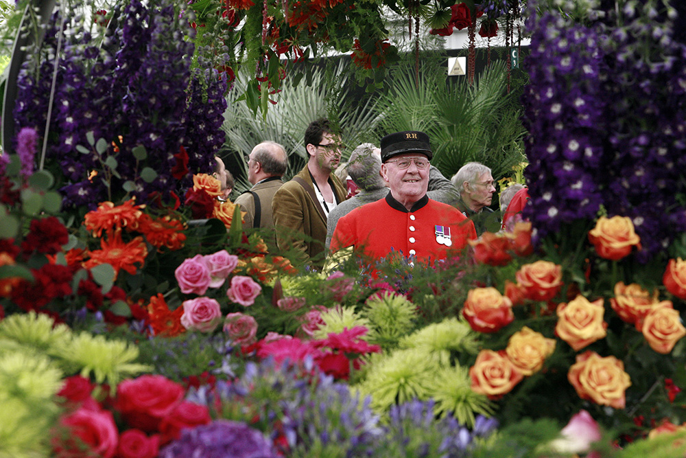 Chelsea Flower Show – Выставка Цветов Челси озеленение ландшафтный дизайн в СПб Lenobl-Art